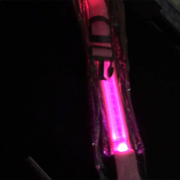 Glow in the Dark Dog Collars - Picture 4 of 4